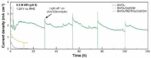[연구그림] 광전극의 장시간 안정성 테스트 결과