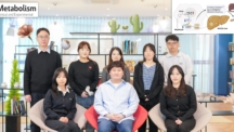 대사이상 지방간, 비타민만 먹어도 개선?.. 치료 표적 발굴