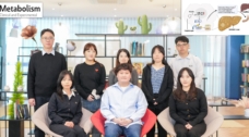 대사이상 지방간, 비타민만 먹어도 개선?.. 치료 표적 발굴
