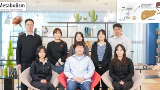 대사이상 지방간, 비타민만 먹어도 개선?.. 치료 표적 발굴