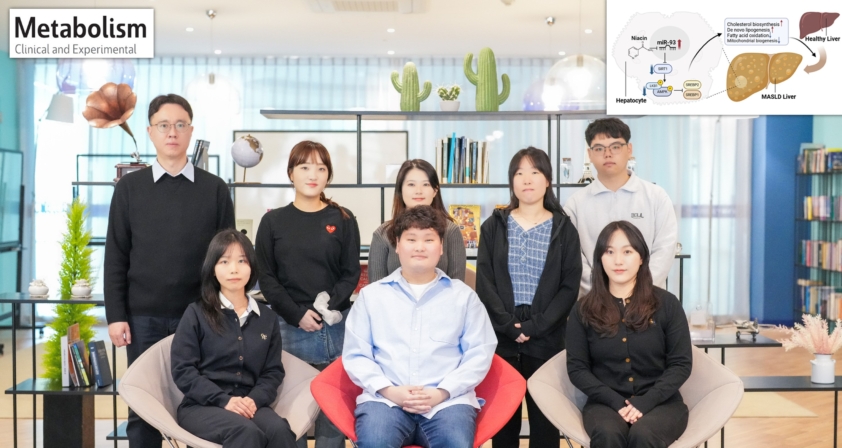 대사이상 지방간, 비타민만 먹어도 개선?.. 치료 표적 발굴