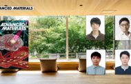 레이저 포인터로도 생체 조직 깊숙이 들여다본다!.. 광학 영상 기술 개발
