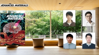 레이저 포인터로도 생체 조직 깊숙이 들여다본다!.. 광학 영상 기술 개발