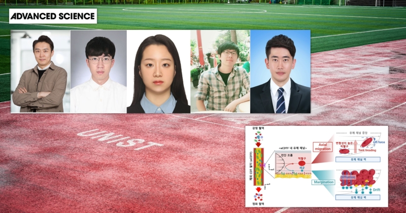 “끈끈한 혈전이 세균 포획”… 감염 잡는 혈액 정화 기술 개발