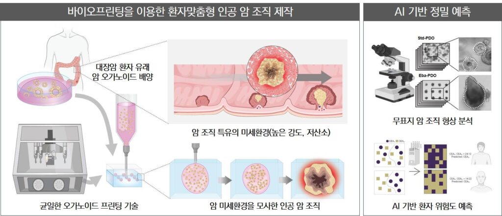 [연구그림] 환자 맞춤형 인공 암 조직 바이오프린팅과 이를 기반으로 하는 환자 예후 예측 AI