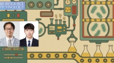 대장균이 식초 ‘소화’해 소재 원료 만든다!… 실험실 진화로 생산성↑