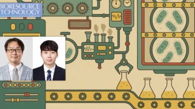 대장균이 식초 ‘소화’해 소재 원료 만든다!… 실험실 진화로 생산성↑