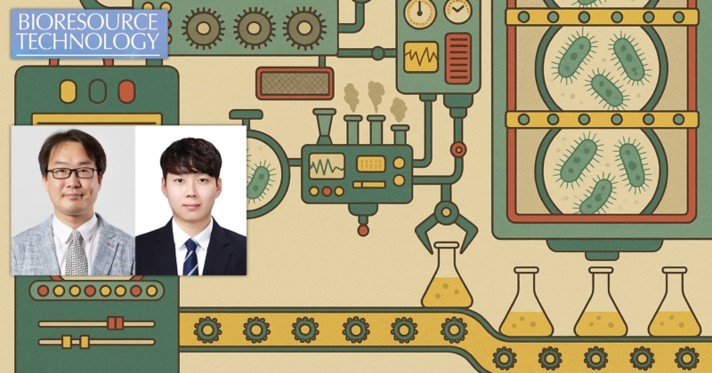 대장균이 식초 ‘소화’해 소재 원료 만든다!… 실험실 진화로 생산성↑