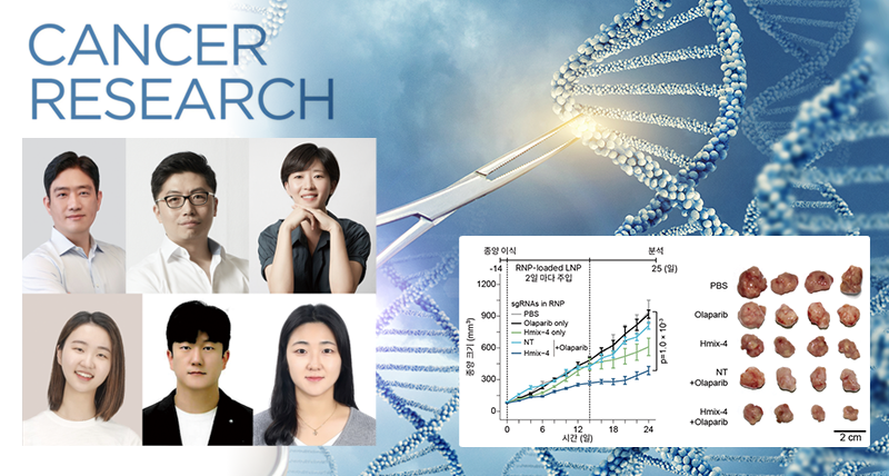 DNA에 가위질 덜 하고도 암세포 죽인다!… 부작용↓ 유전자 가위 항암 기술 개발