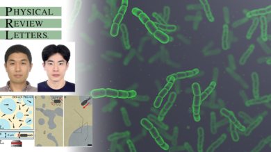 티끌보다 작은 세균의 힘, 끼리끼리 노는 통계 분포 법칙 깨긴 충분했다!