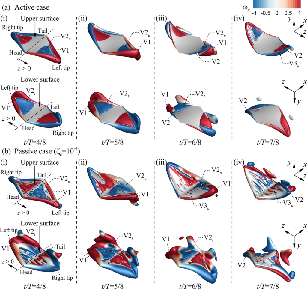 연구그림. (a)능동 유연성과 (b)수동 유연성을 갖는 '가오리 주위의 시간에 따른 와구조 변화'