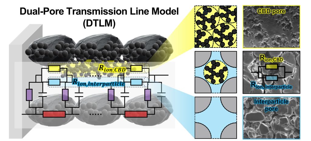 [연구그림] 연구진이 제시한 이중 공극 전송선 모델. 전극 내 기공을 리튬 이온 이동을 방해하는 기공과 리튬 이온 이동이 일어나는 기공으로 분류해 분석했다.