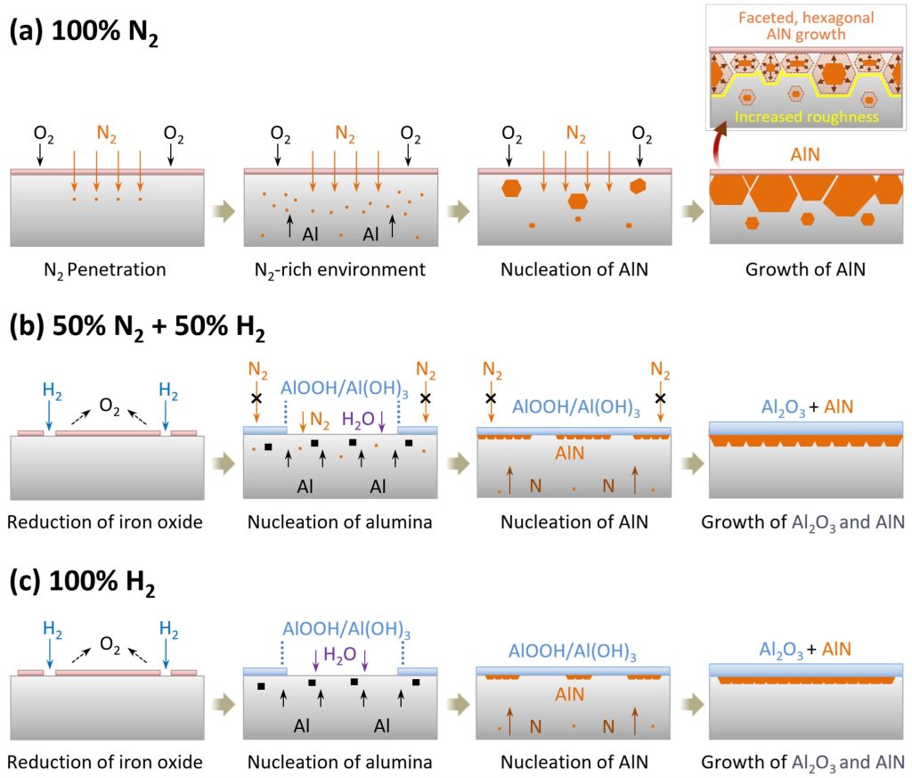 [연구그림] 열처리 대기 환경이 강판 시편 미세 구조 형성에 미치는 영향 분석