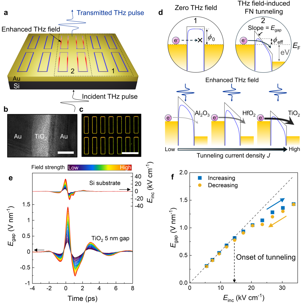 [연구그림] 테라헤르츠 전기장에 의해 유도되는 양자 터널링 현상
