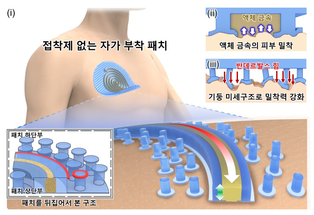 [연구그림] 연구팀이 개발한 심전도 패치의 미세 구조