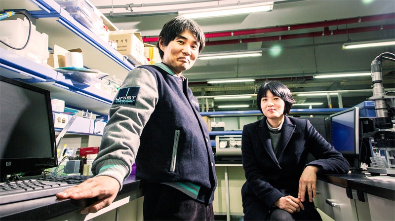 Prof. Jong-Hwa Bhak (left) and Prof. Yoon-Kyoung Cho (right) from School of Life Sciences are posing for a portrait at their lab.