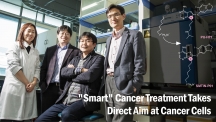 “Smart” Chemotherapy Takes Direct Aim at Cancer Cells