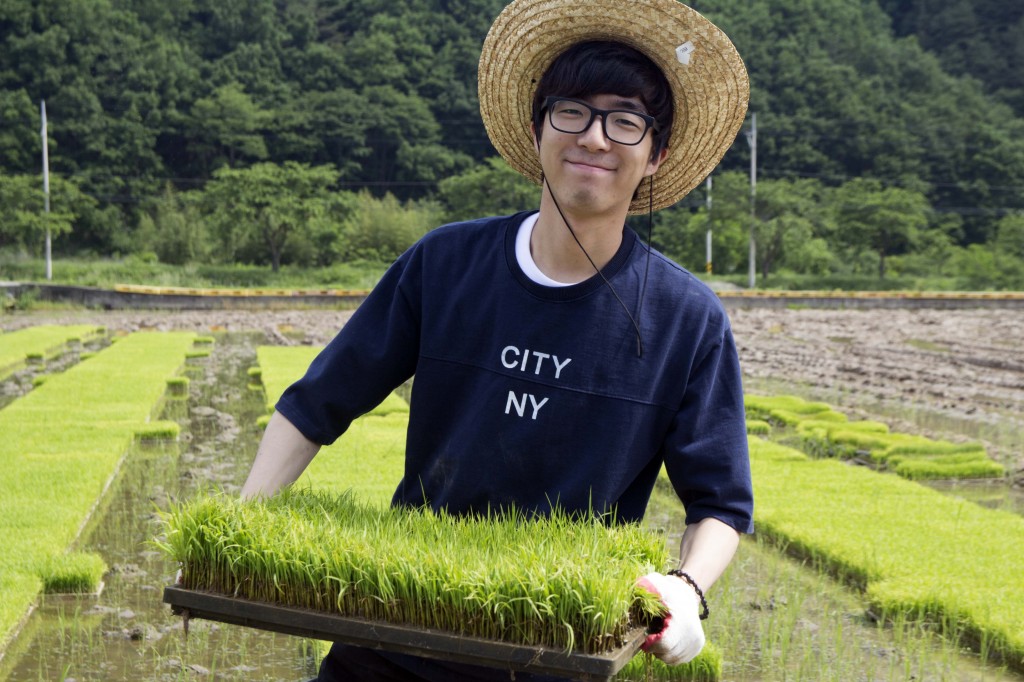 JaeHo Bae (School of Energy and Chemical Engineering) is posing for a portrait while holding a seedbed of rice at the rural community outreach project. [Photo Credit: Jin Woo Park from Studio INGAM]