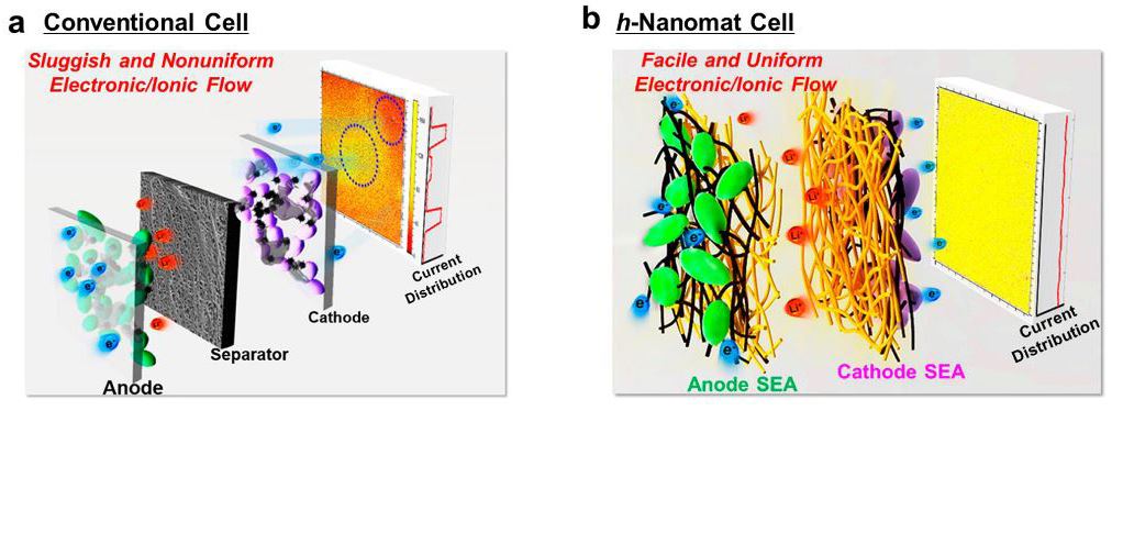 In comparison with conventional cells, 1D nanobuilding block-based SEAs are characterized with highly interconnected, uniform electron pathways and porous structure, thereby providing significant improvements in the electrochemical performance.