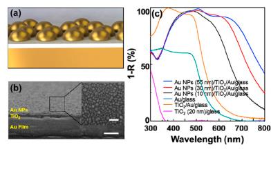 Two-dimensional metastructured film with Titanium Oxide is fabricated as a photo-catalytic photoanode with exceptional visible light absorption.