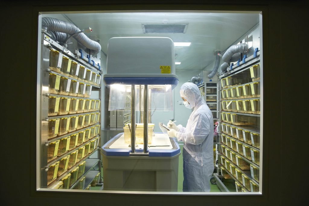 A researcher is examining the laboratory mice at the husbandry, UNIST.