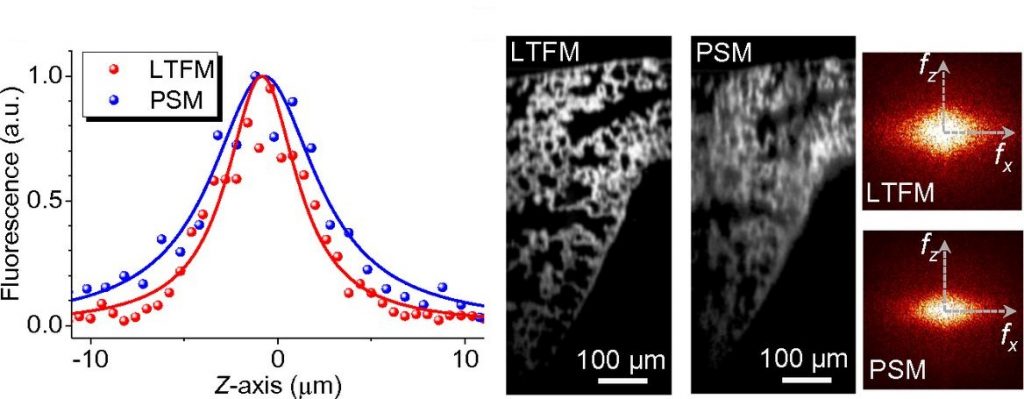 Comparison of two bioimaging techniques: line-temporal focusing microscopy (LTFM) and point scanning microscopy (PSM). IBS researchers increased LTFM resolution, by restoring the circular symmetry of the LTFM beam. Images of a fluorescently-labelled mouse lung slice show that the improved LTFM achieves a higher resolution than PSM:; a result never reached before. 
