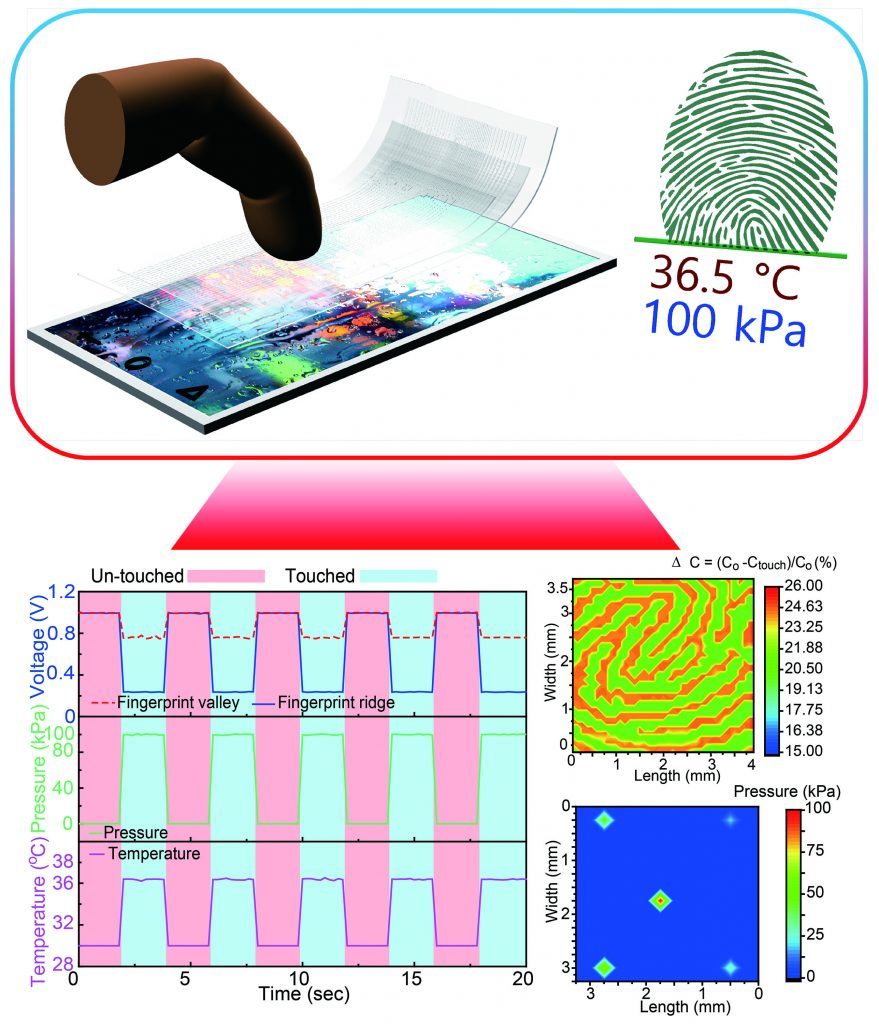 Transparent and flexible fingerprint sensor 1