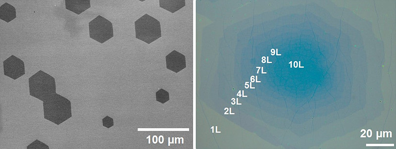 Graphene sheets grown on top of single crystal copper foil