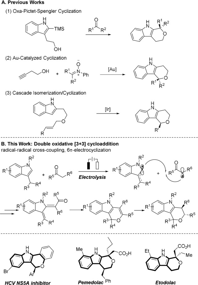 Previously developed synthetic methods and bioactive [2,3]‐fused indoles.