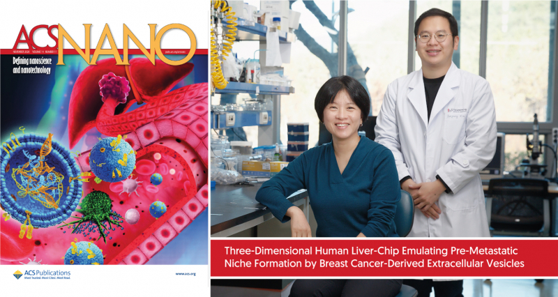 New Study Unveils 3D Human Liver-Chip Emulating Premetastatic Niche Formation by Breast Cancer-Derived EVs