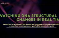 Watching DNA Structural Changes in Real-Time!