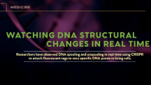 Watching DNA Structural Changes in Real-Time!