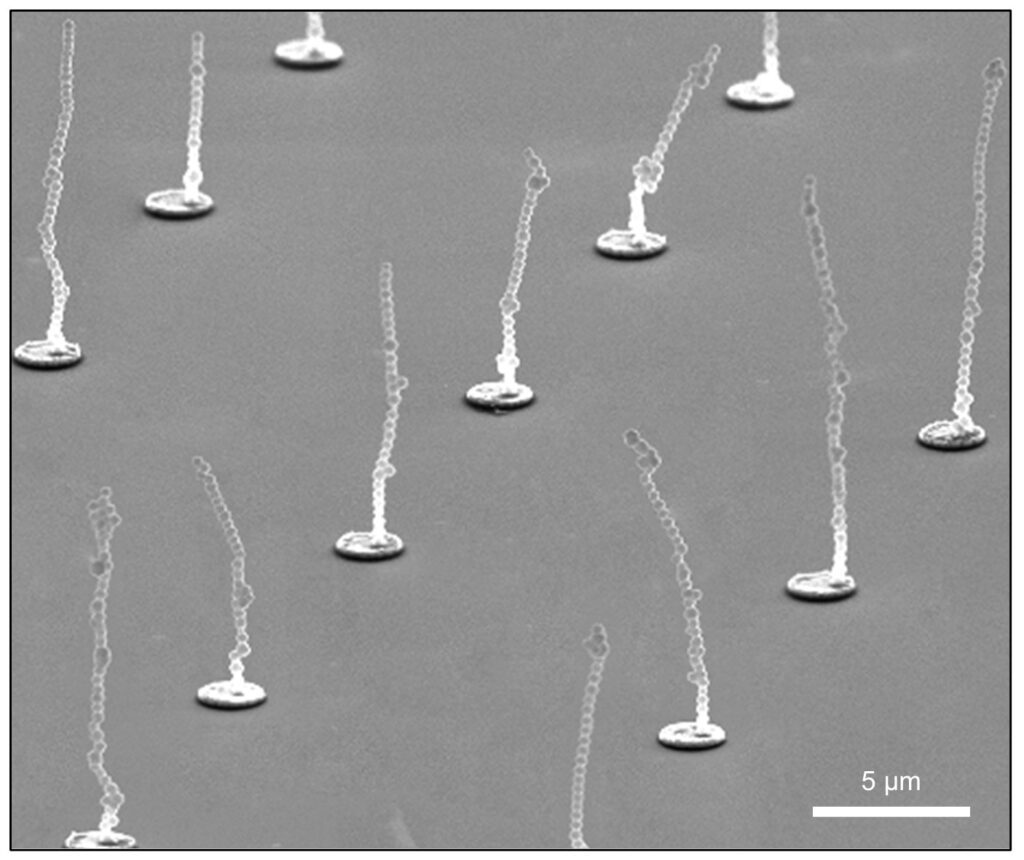 Artificial Nanocilia Actuators