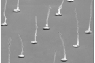 Artificial-Nanocilia-Actuators.jpg