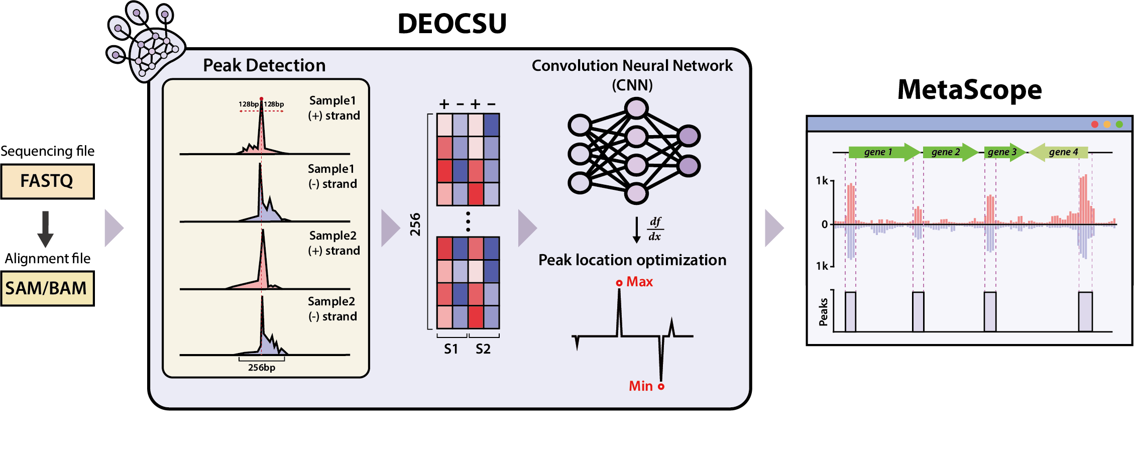 Figure 1. Overview of DEOCSU