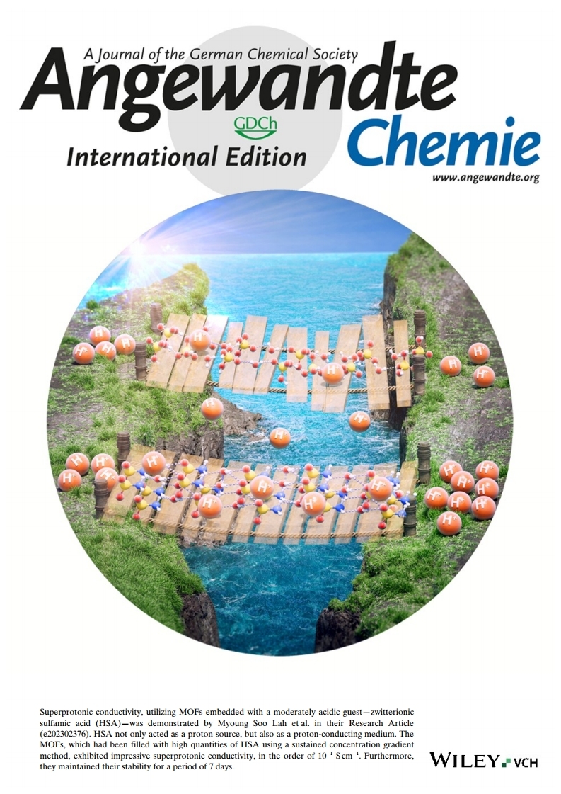 Their findings have been selected for the back cover of Angew. Chem. Int. Ed. and published on June 20, 2023.