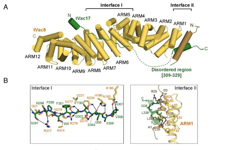 Figure 1 PNAS