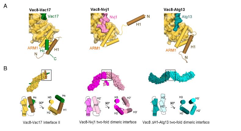 Figure 2 PNAS