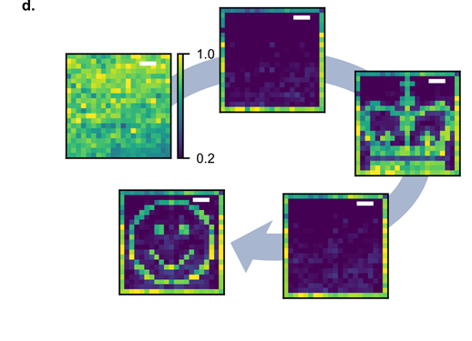 Figure 2.