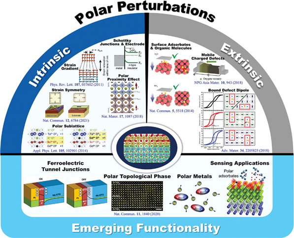 Polar-Perturbations