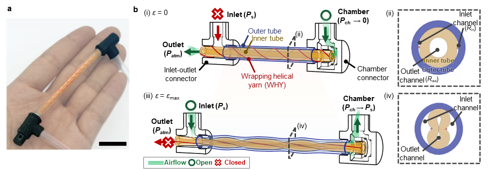 Fig 1 Soft self-sensing tensile valve (STV) transducing strain into manageable proportional output pressures.