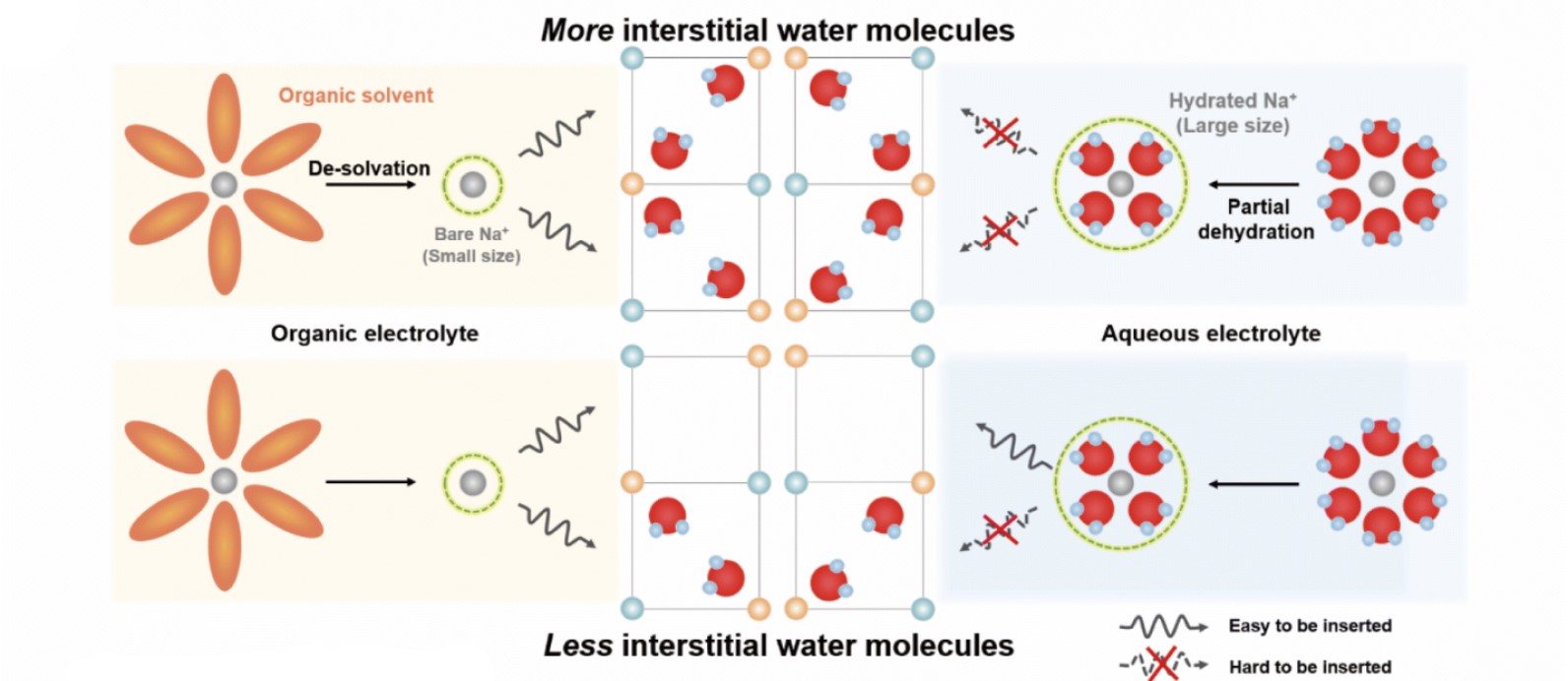 Figure 2. The schematic illustration of the different behaviors of Na+ ions in organic and aqueous electrolytes.
