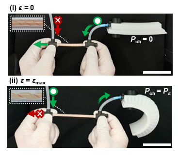 Operational photographs of the STV-controlled soft actuator