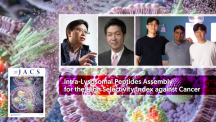 Intra-Lysosomal Peptide Assembly for the High Selectivity Index against Cancer