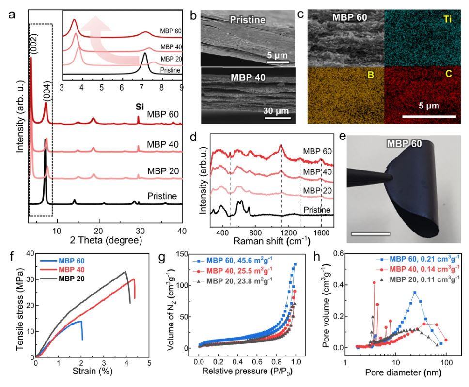 Figure 3 Structural characterization of MBP hybrid films