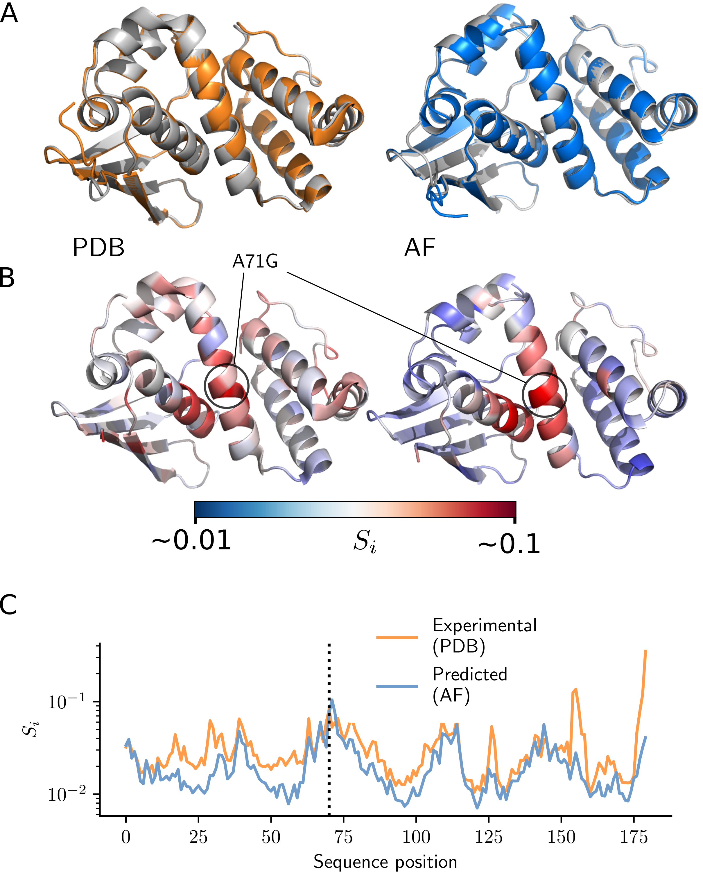 Overlaid wild-type (grey) and mutant (color), experimental (orange), and predicted (blue) structures of H-NOX protein.