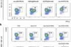 The-activation-of-human-NK-cells-in-the-presence-of-both-target-cancer-cells-and-corresponding-NKeNDs-or-other-nanodrone-variants-using-flow-cytometry.-1.png