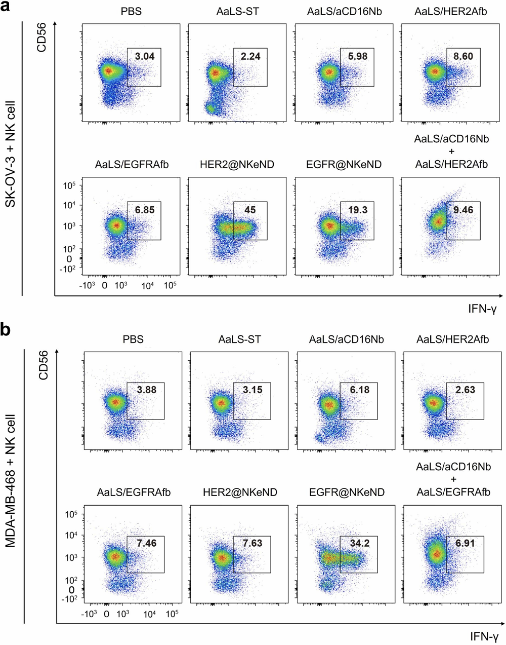 The activation of human NK cells in the presence of both target cancer cells and corresponding NKeNDs or other nanodrone variants using flow cytometry.