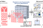 Concept-and-mechanism-of-PPMM-for-in-situ-programming-of-mechanical-behaviors..png