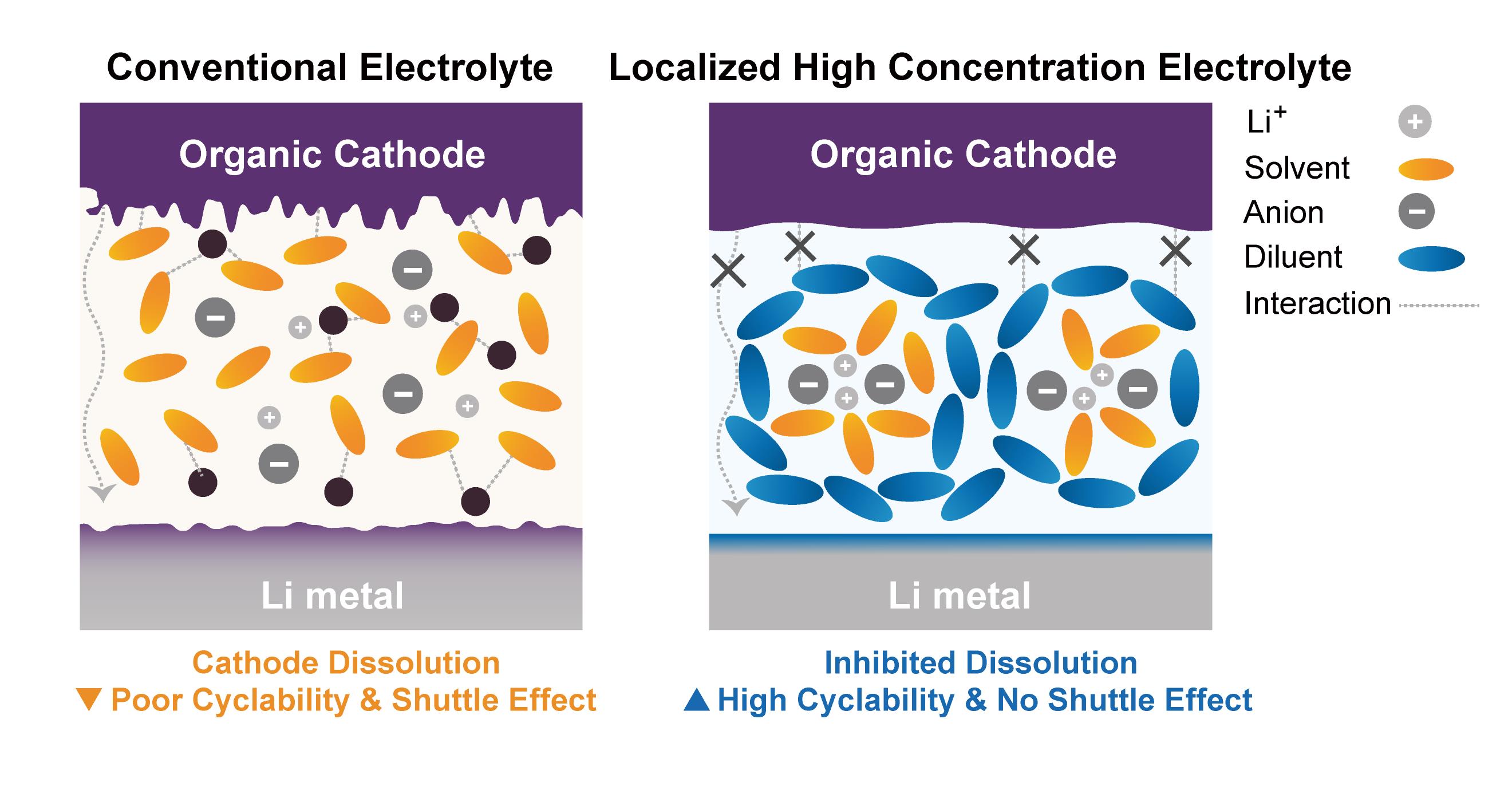 Schematic illustration of organic electrode-based LIB using different types of electrolytes.